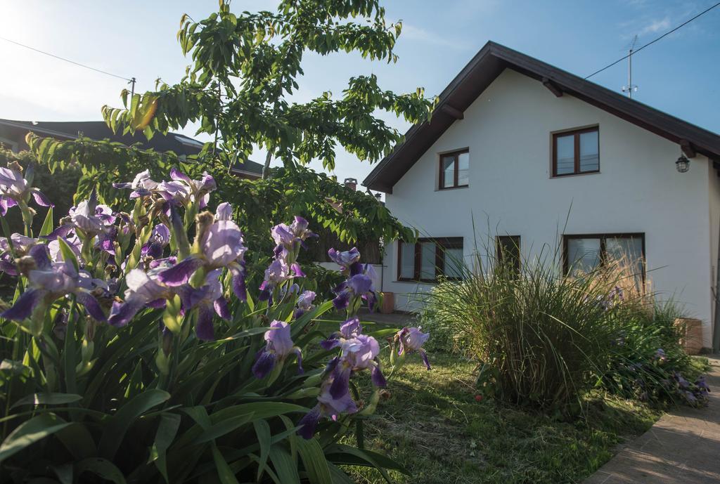 Apartments Osijek By The River Εξωτερικό φωτογραφία