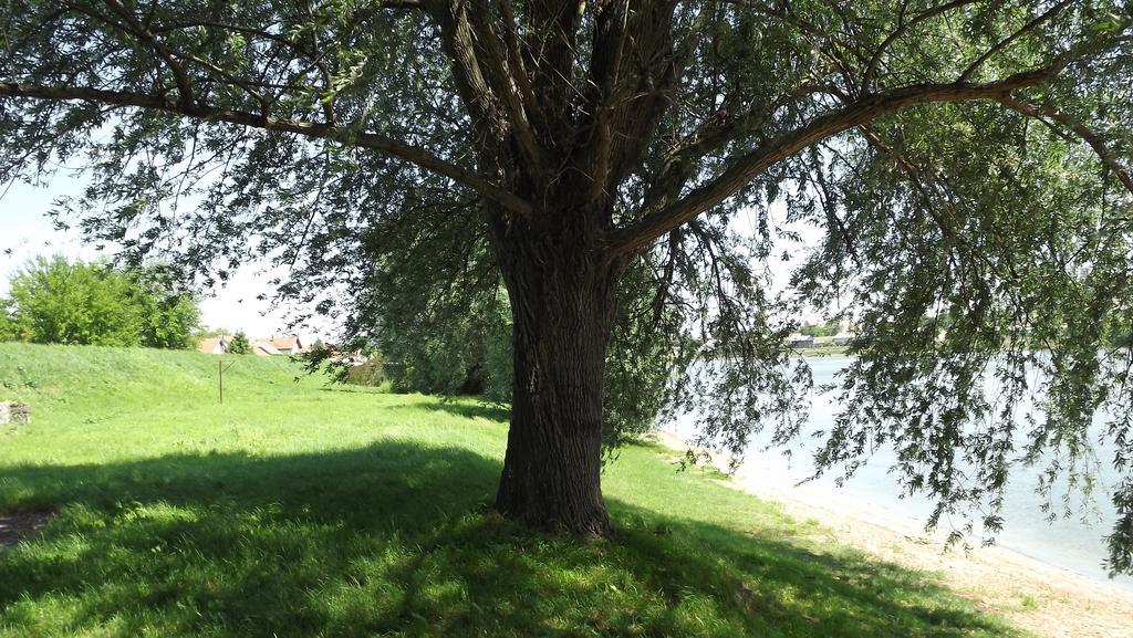 Apartments Osijek By The River Εξωτερικό φωτογραφία